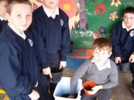 Planting a seed 17-11-08 013
